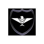 Eagle Security Services Corporation Profile Picture