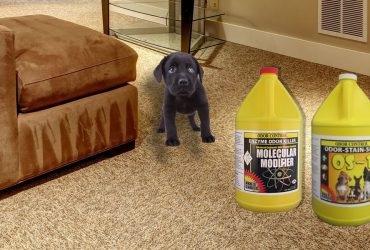 Elevate Your Cleaning Business with Professional Upholstery Products