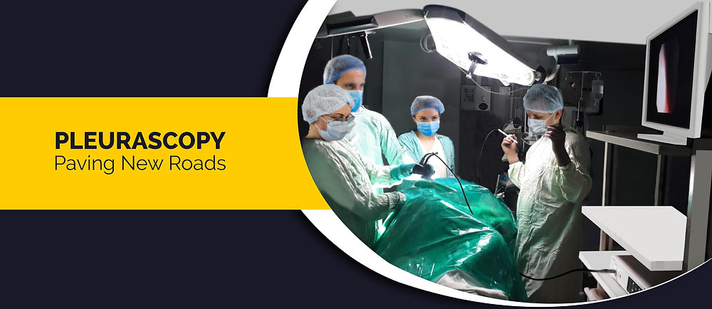 Pleuroscopy: Paving New Roads  - Ottomed Endoscopyhttps://static.wixstatic.com/media/0f8d3e_65896a663d424dbbbdd8ffb20943f1fb~mv2.jpg