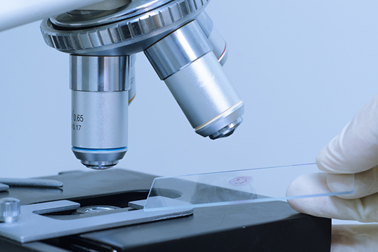 B Sc Medical Microbiology College in Dehradun, Uttarakhand