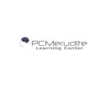 PC Merudite Profile Picture
