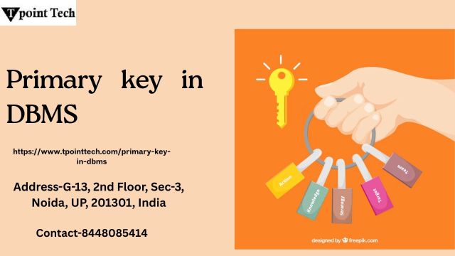 The Role and Importance of the Primary Key – @rishabhtpt on Tumblr