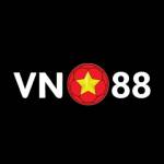 Vn 88 Profile Picture
