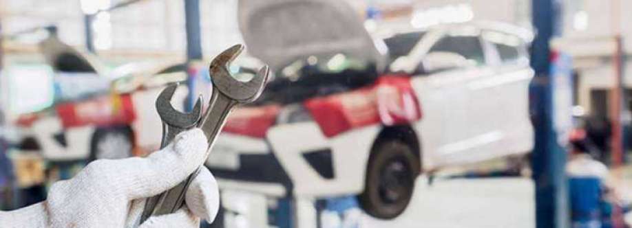 Zoyz Auto Services Ltd Cover Image
