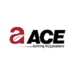 ACE_Group's Ajay_Chaudhary Profile Picture