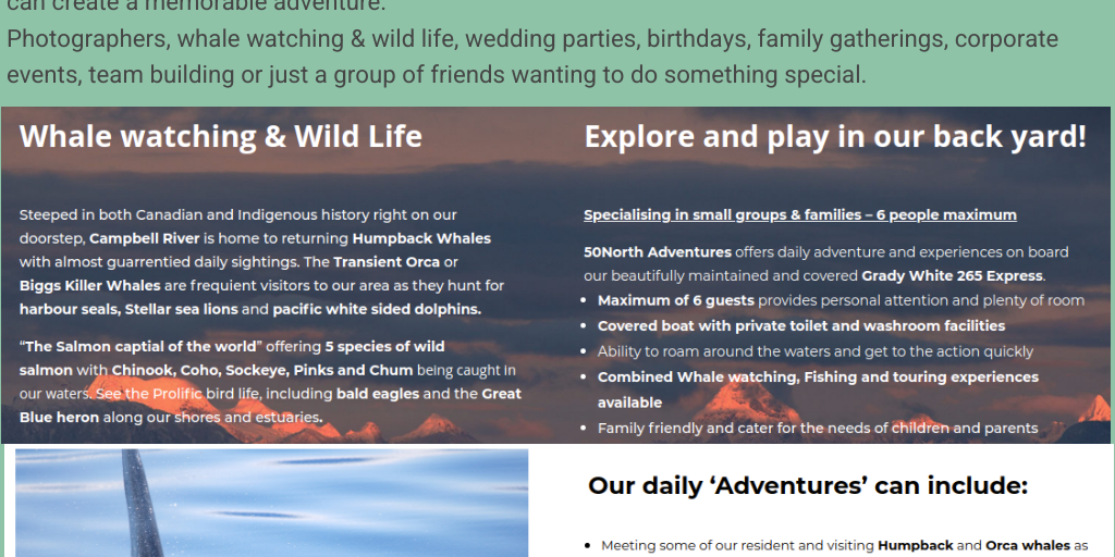 Bear Tours With Kids Vancouver Island by Leonard Lyam - Infogram