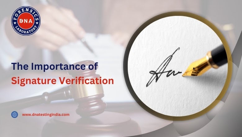 The Importance of Signature Verification in Today's World