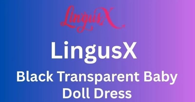 Black Transparent Baby Doll Dress
