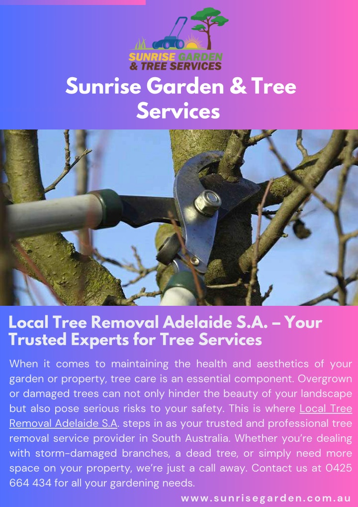 Local Tree Removal Adelaide S.A. – Your Trusted Experts for Tree Services