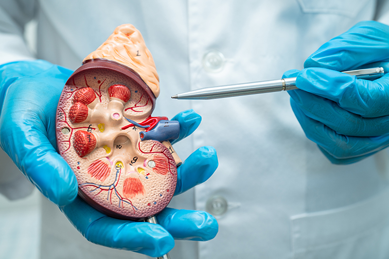 How to Bill and Code for Glomerulonephritis