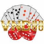 vnd88 8net Profile Picture